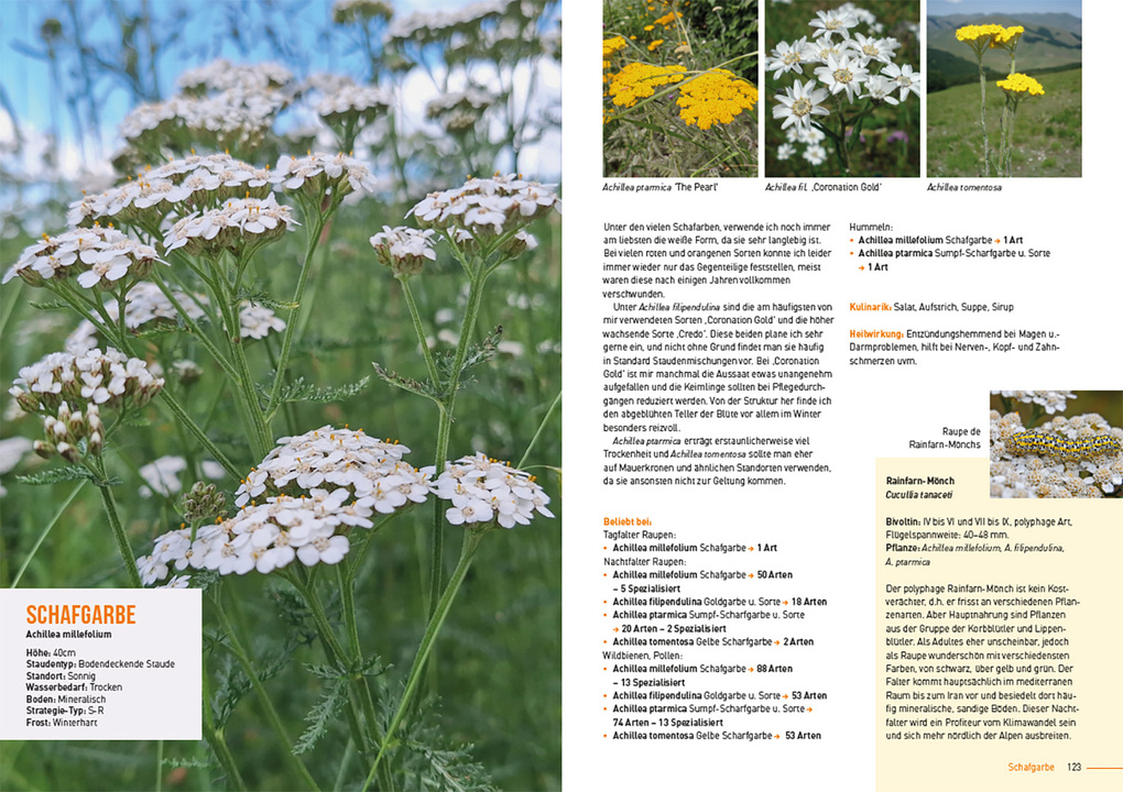 Weitere Ansicht: Klimastarke Stauden | Joachim Kugler