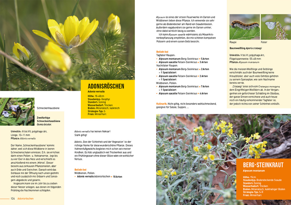 Weitere Ansicht: Klimastarke Stauden | Joachim Kugler