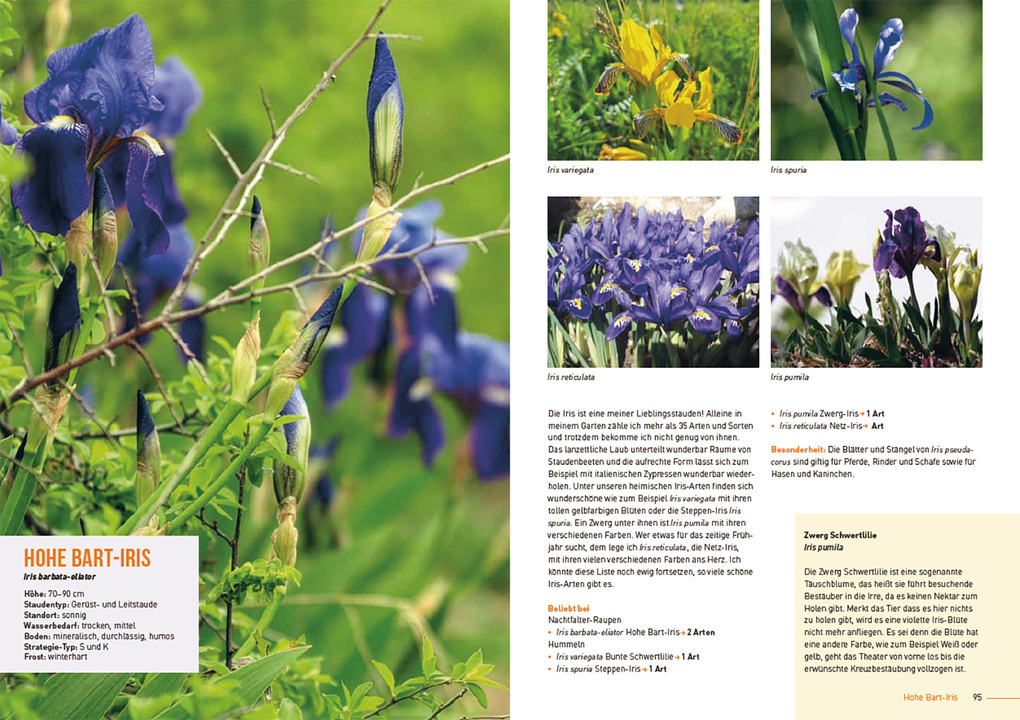 Weitere Ansicht: Klimastarke Stauden | Joachim Kugler