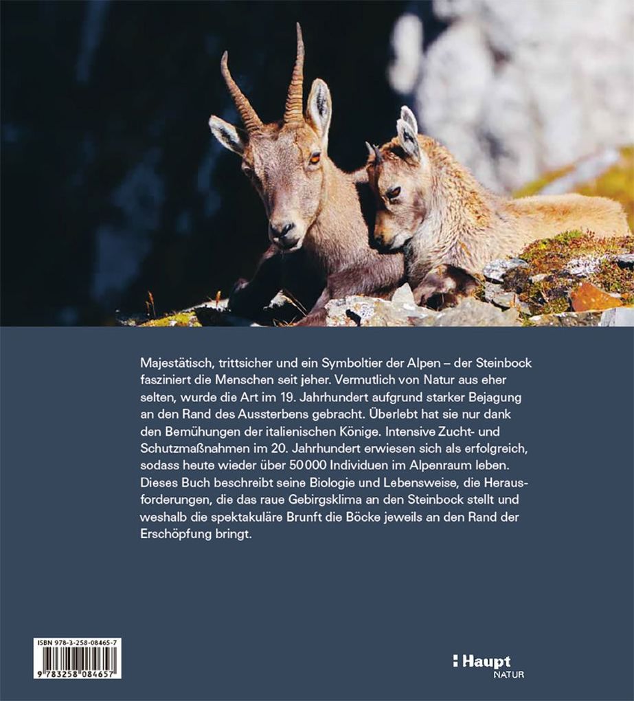Weitere Ansicht: Der Steinbock | Flurin Filli