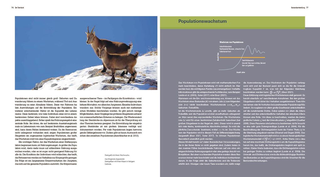 Weitere Ansicht: Der Steinbock | Flurin Filli
