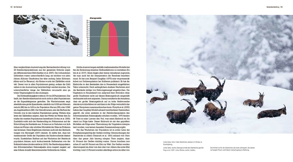 Weitere Ansicht: Der Steinbock | Flurin Filli