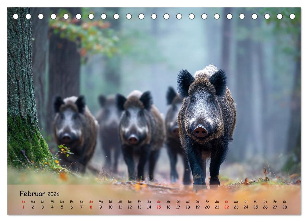 Weitere Ansicht: Jagd und Natur - Kalender für Jäger mit Wildtieren Deutschlands im Jahreslauf (Tischkalender 2026 DIN A5 quer), CALVENDO Monatskalender | MB Fotografie, Calvendo
