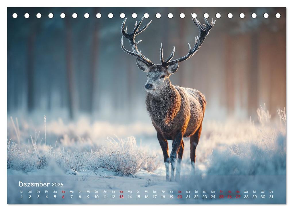 Weitere Ansicht: Jagd und Natur - Kalender für Jäger mit Wildtieren Deutschlands im Jahreslauf (Tischkalender 2026 DIN A5 quer), CALVENDO Monatskalender | MB Fotografie, Calvendo