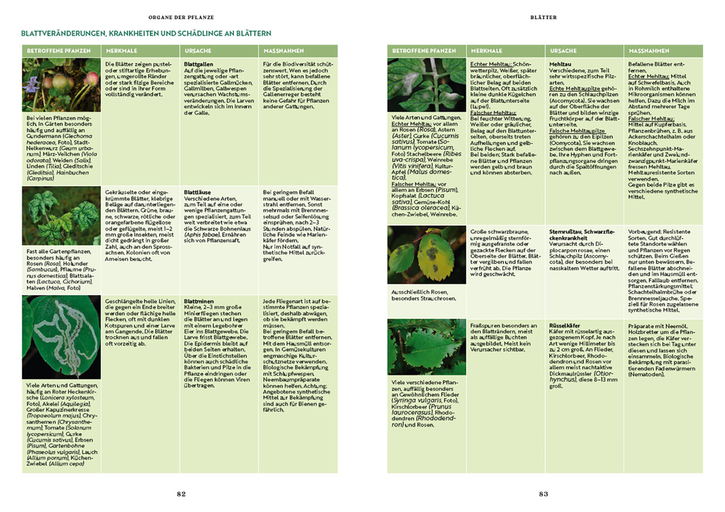Weitere Ansicht: Gartenbotanik | Margot Spohn, Roland Spohn