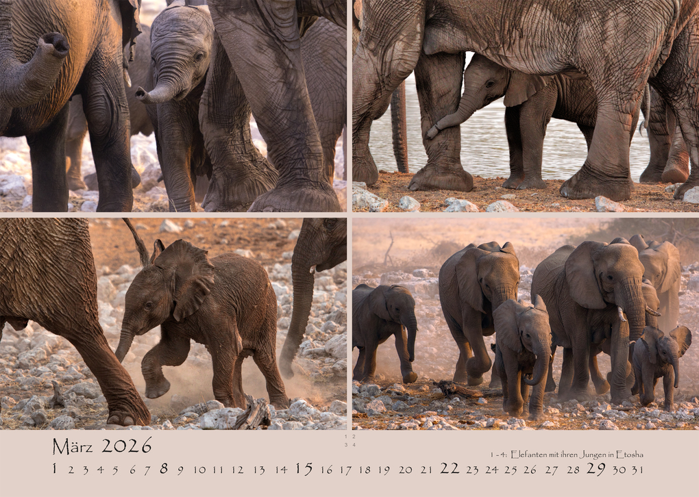 Weitere Ansicht: NAMIBIA - MAGIE DES LICHTS 2026