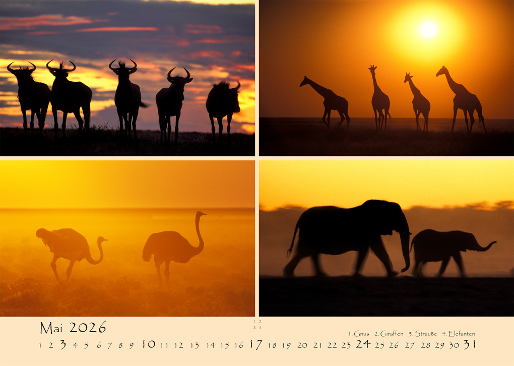 Weitere Ansicht: NAMIBIA - MAGIE DES LICHTS 2026