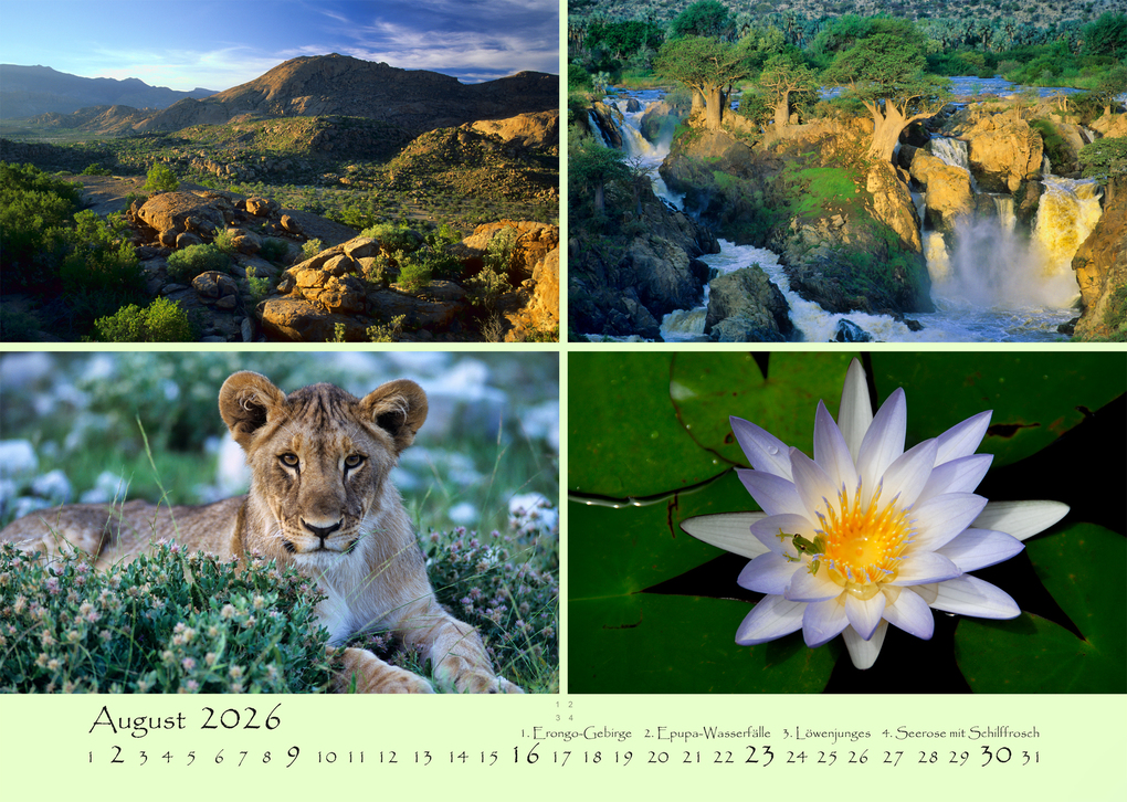 Weitere Ansicht: NAMIBIA - MAGIE DES LICHTS 2026