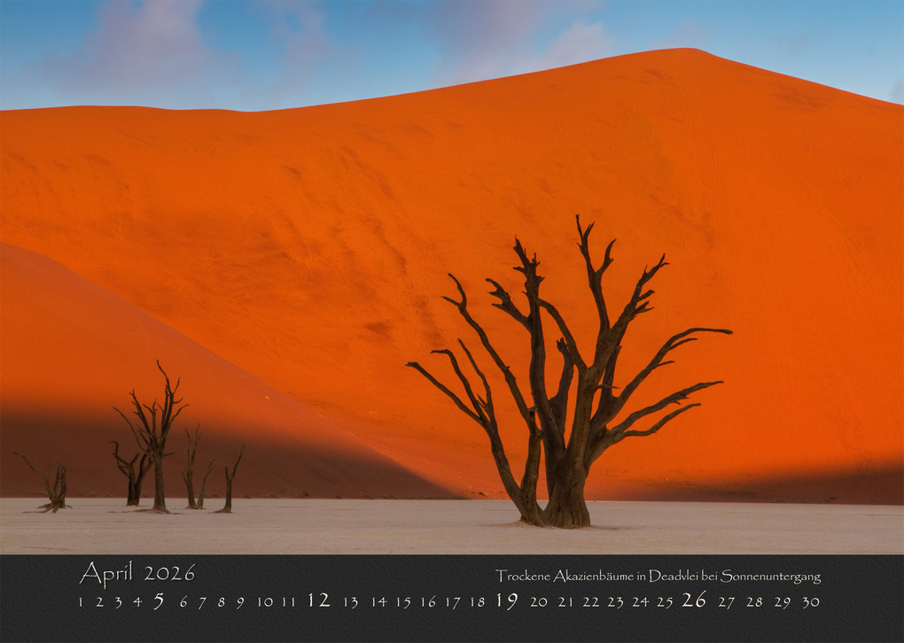 Weitere Ansicht: NAMIBIAS WILDNIS 2026