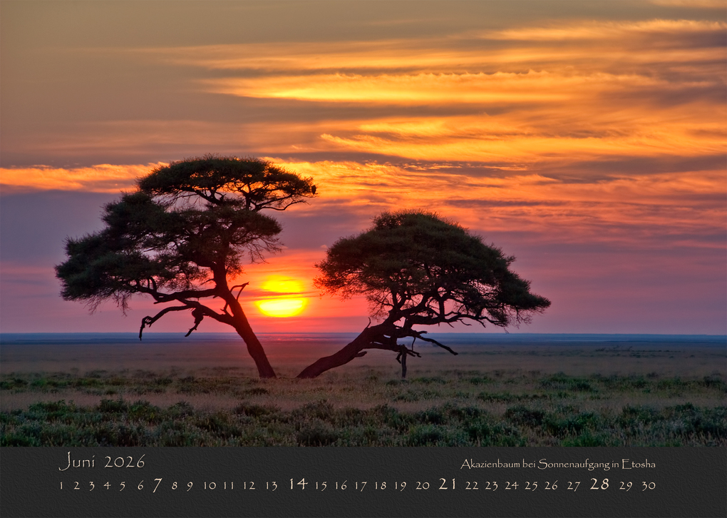 Weitere Ansicht: NAMIBIAS WILDNIS 2026