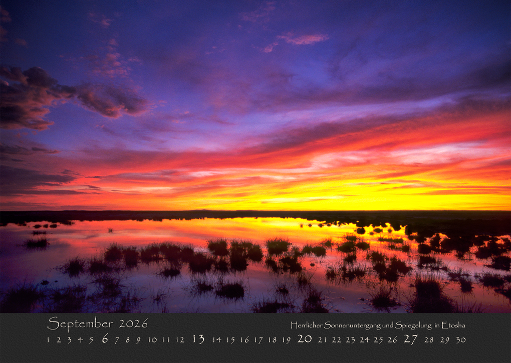 Weitere Ansicht: NAMIBIAS WILDNIS 2026