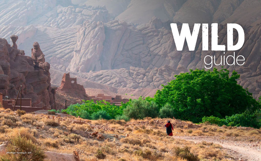 Weitere Ansicht: Wild Guide Marokko | Lola Culsán