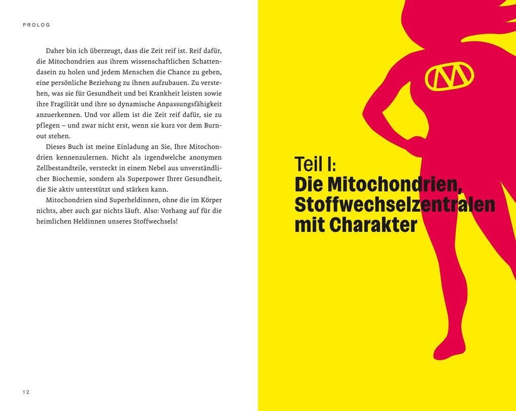 Weitere Ansicht: Die heimlichen Heldinnen des Stoffwechsels | Stephan Barth