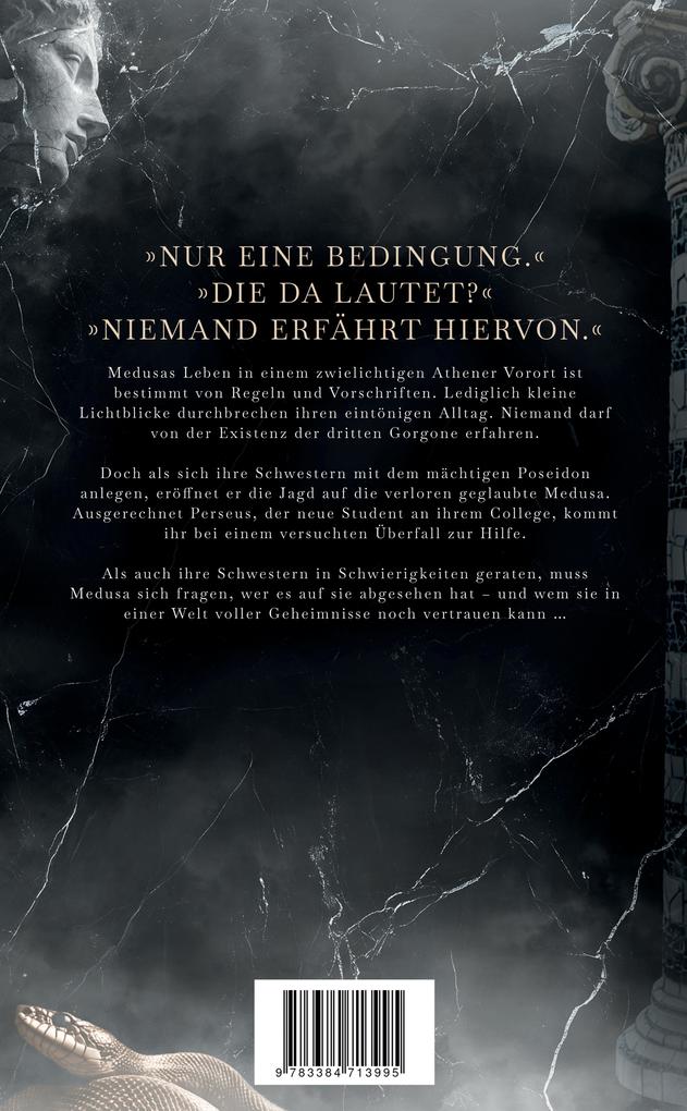 Weitere Ansicht: Shadow Desire | Neele Green