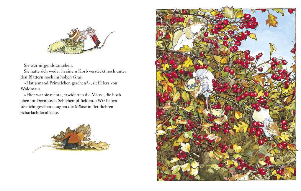 Weitere Ansicht: Ein Jahr in Brombeerhag | Jill Barklem