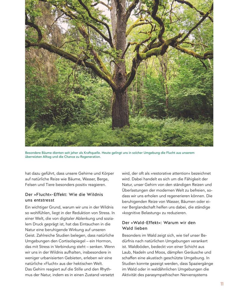 Weitere Ansicht: Let's go wild! | Antje Arnold