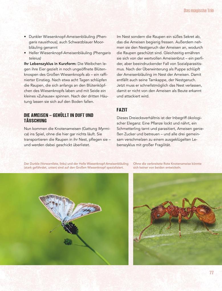 Weitere Ansicht: Let's go wild! | Antje Arnold