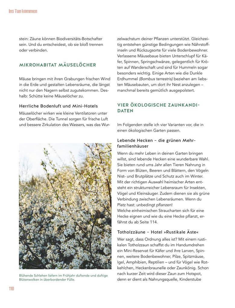 Weitere Ansicht: Let's go wild! | Antje Arnold