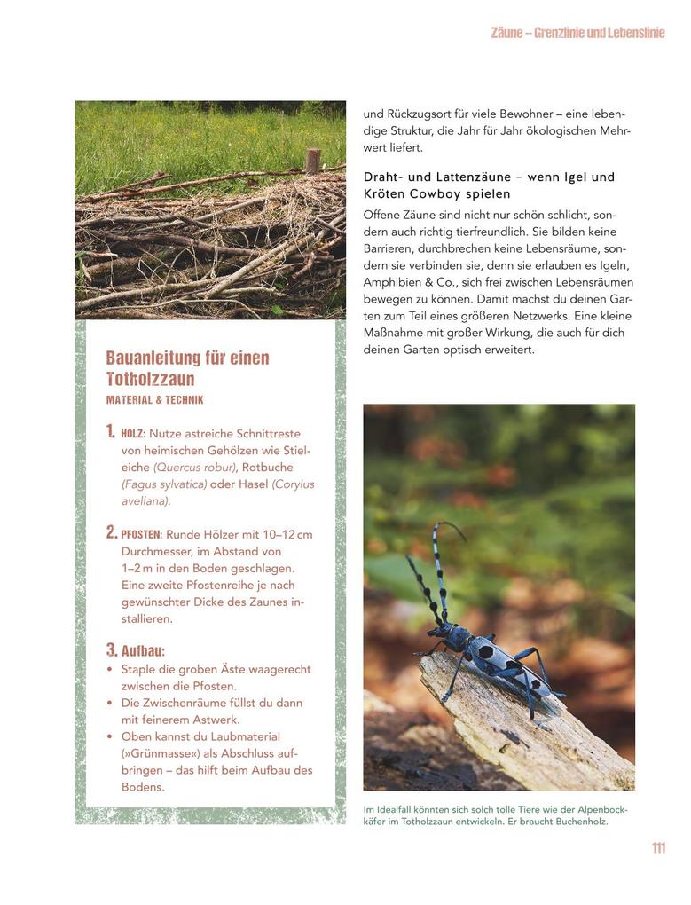 Weitere Ansicht: Let's go wild! | Antje Arnold