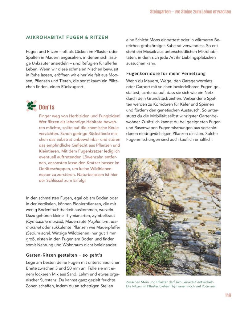 Weitere Ansicht: Let's go wild! | Antje Arnold