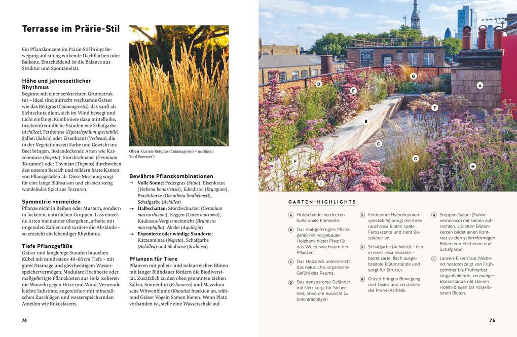 Weitere Ansicht: Small Garden Beauty | Folko Kullmann