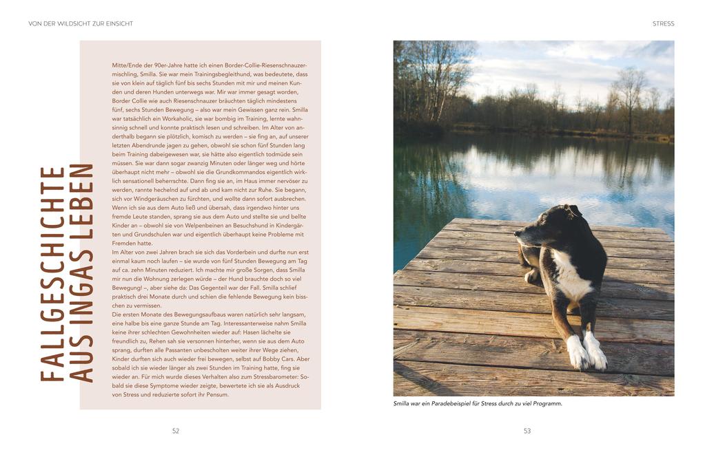 Weitere Ansicht: Leinen los! Freilauftraining für den Hund | Inga Böhm-Reithmeier, Katharina von der Leyen