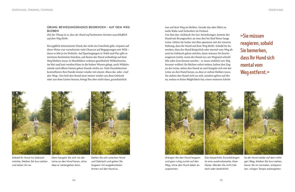 Weitere Ansicht: Leinen los! Freilauftraining für den Hund | Inga Böhm-Reithmeier, Katharina von der Leyen