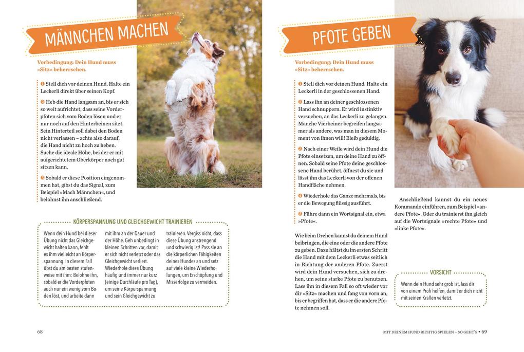 Weitere Ansicht: Spielerische Hundeerziehung | Chloé Fesch