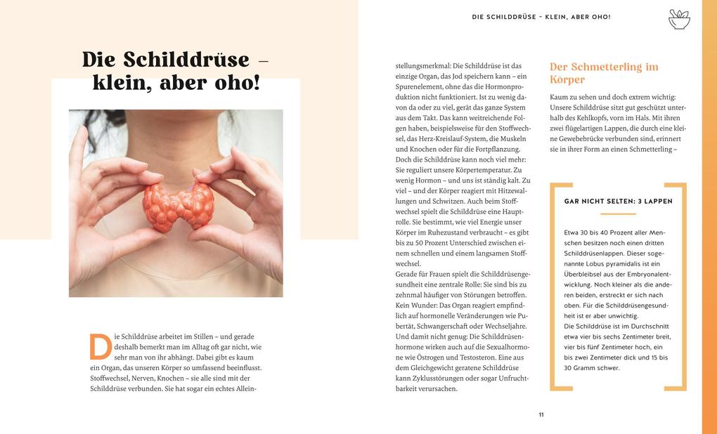 Weitere Ansicht: Meine Gesundheitsretter aus der Natur für eine starke Schilddrüse | Franziska Rubin