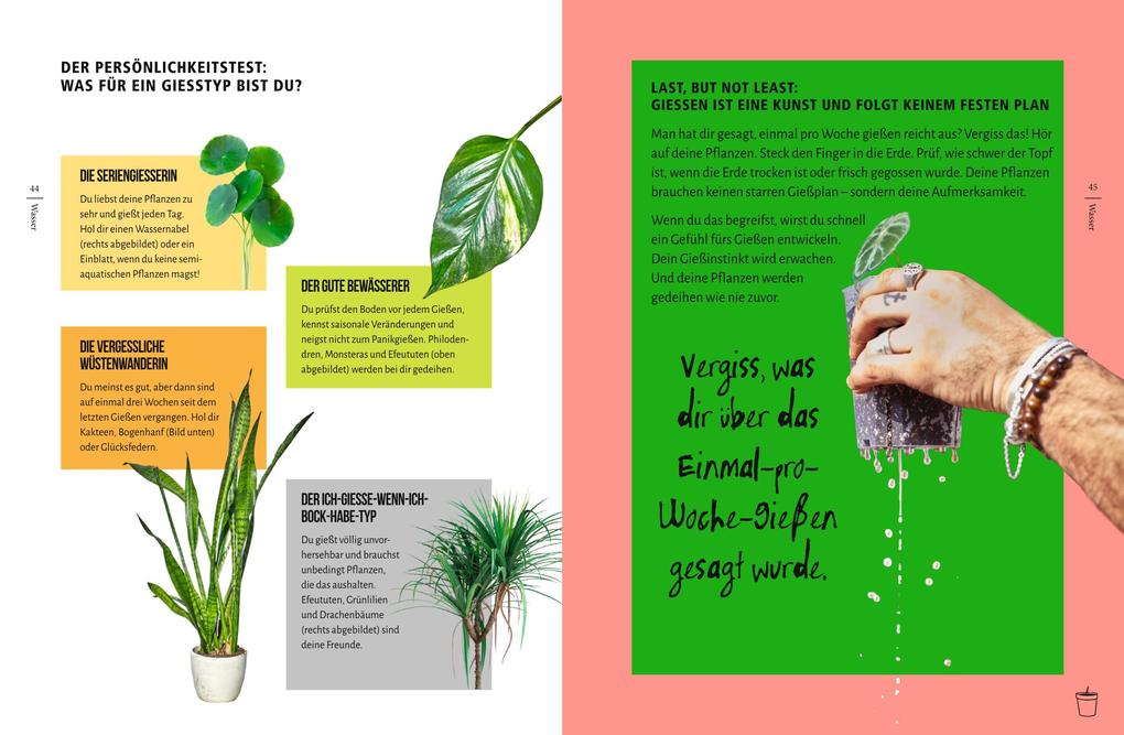 Weitere Ansicht: You're overwatering it! | Jonny Balchandani