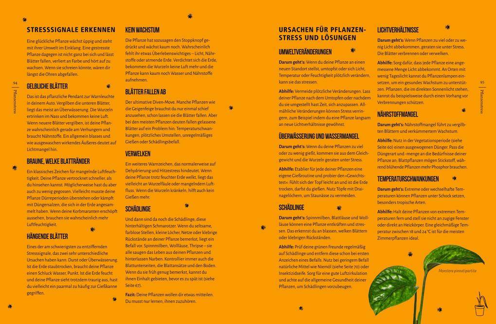 Weitere Ansicht: You're overwatering it! | Jonny Balchandani