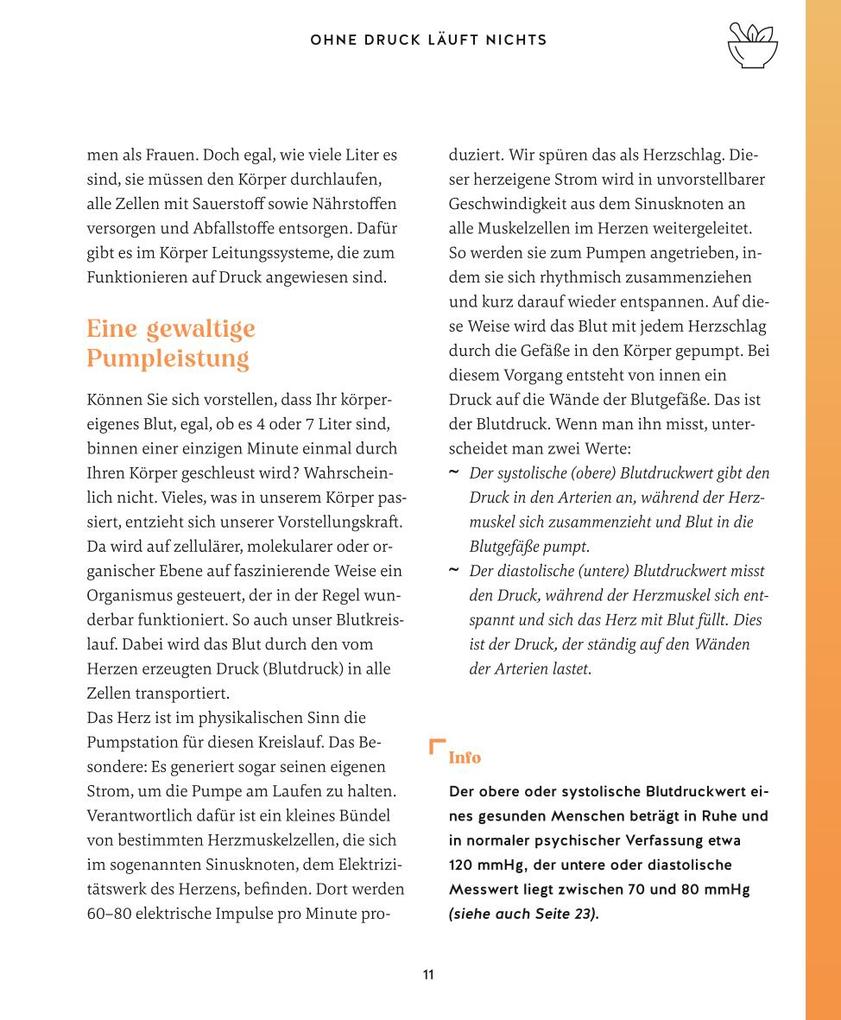 Weitere Ansicht: Meine Gesundheitsretter aus der Natur gegen Bluthochdruck | Franziska Rubin