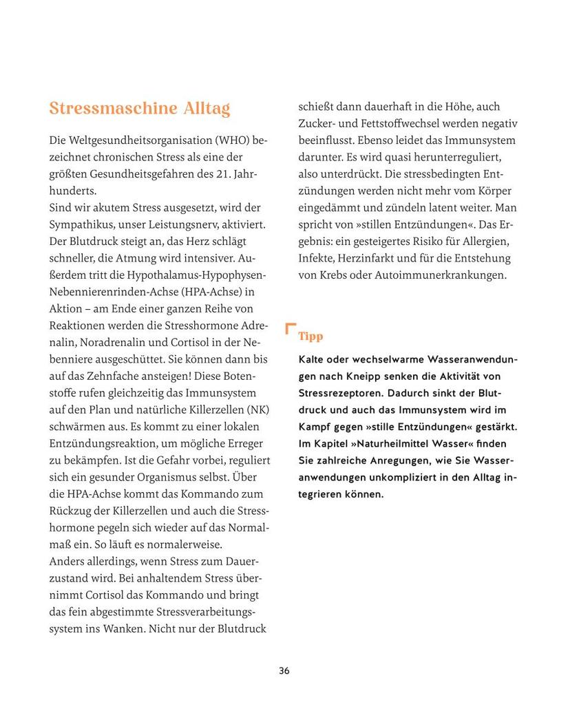 Weitere Ansicht: Meine Gesundheitsretter aus der Natur gegen Bluthochdruck | Franziska Rubin