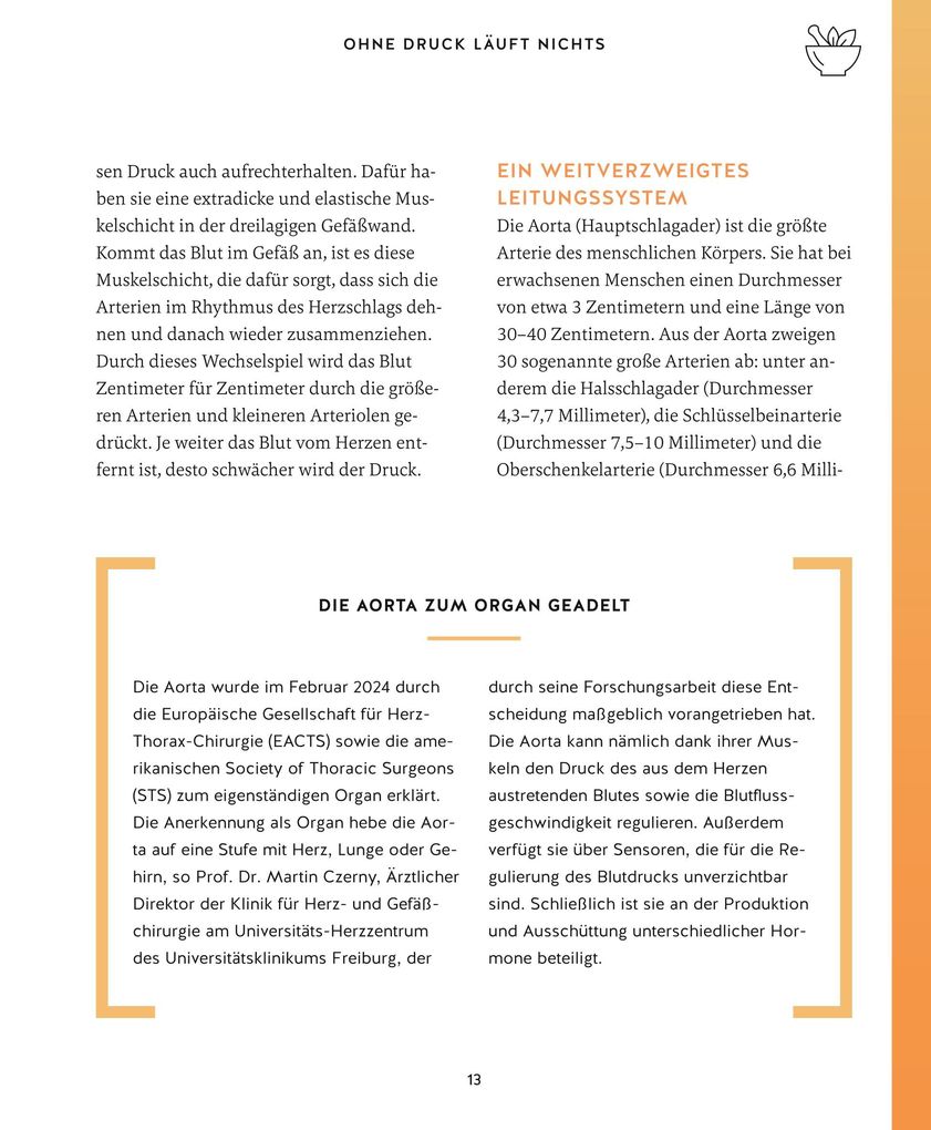 Weitere Ansicht: Meine Gesundheitsretter aus der Natur gegen Bluthochdruck | Franziska Rubin