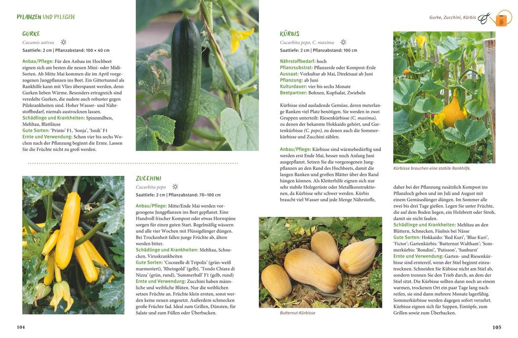 Weitere Ansicht: Gärtnern mit dem Hochbeet | Folko Kullmann