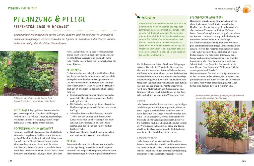 Weitere Ansicht: Gärtnern mit dem Hochbeet | Folko Kullmann