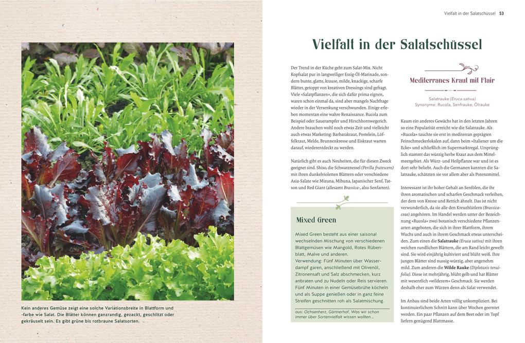 Weitere Ansicht: Alte Gemüsepflanzen wiederentdeckt | Bärbel Steinberger