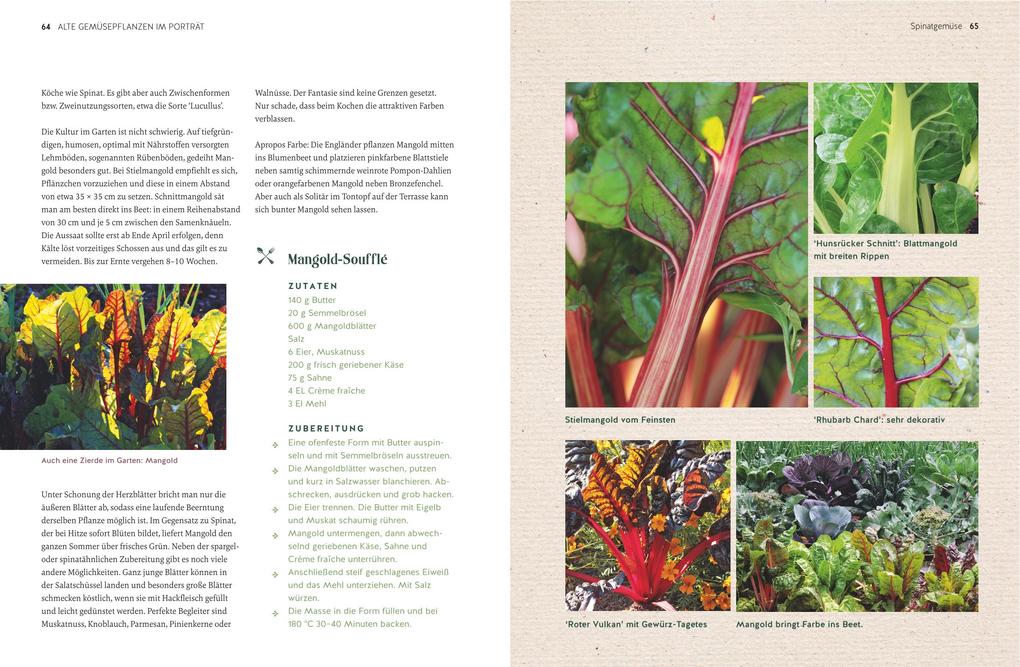 Weitere Ansicht: Alte Gemüsepflanzen wiederentdeckt | Bärbel Steinberger