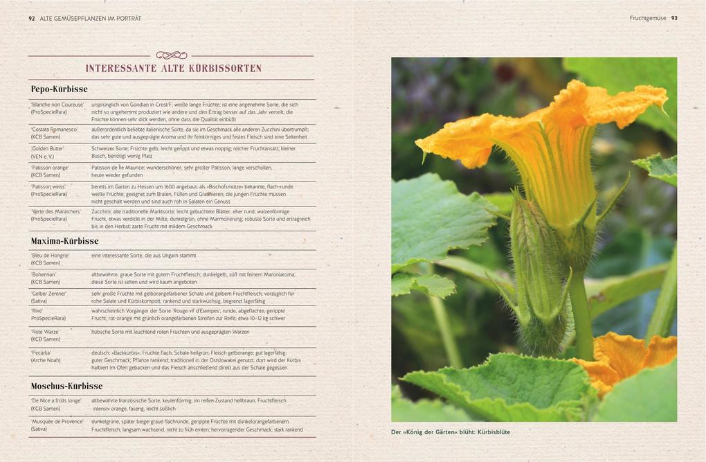 Weitere Ansicht: Alte Gemüsepflanzen wiederentdeckt | Bärbel Steinberger