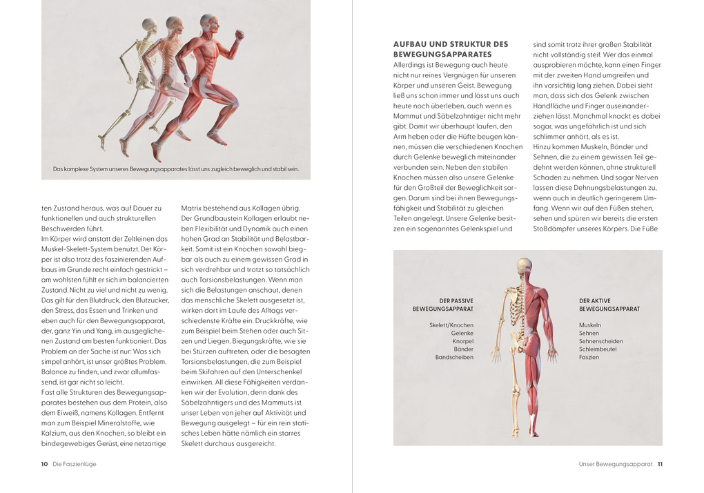 Weitere Ansicht: Die Faszienlüge | Matthias Manke, Patrick Julius