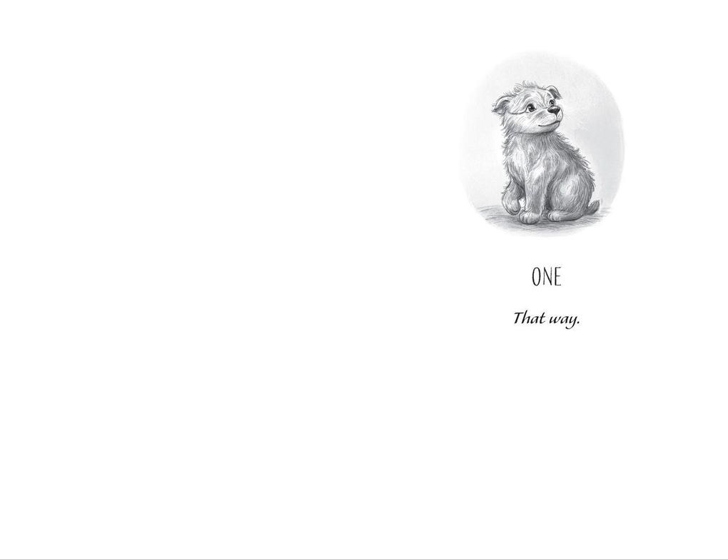 Weitere Ansicht: Wombat Waiting | Katherine Applegate