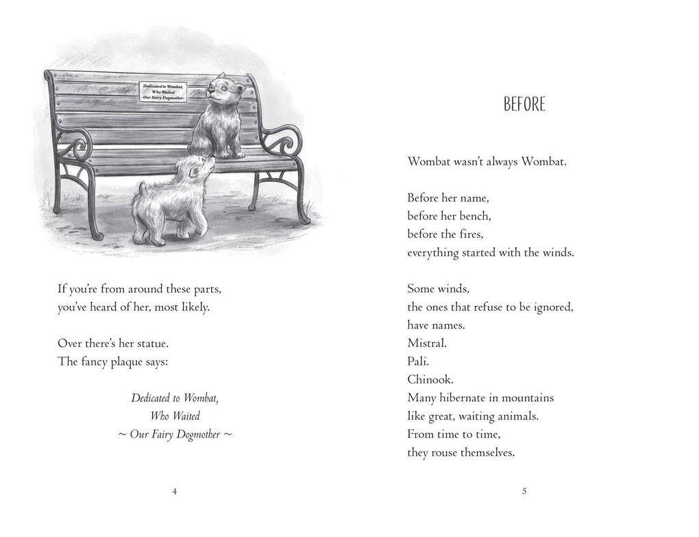 Weitere Ansicht: Wombat Waiting | Katherine Applegate