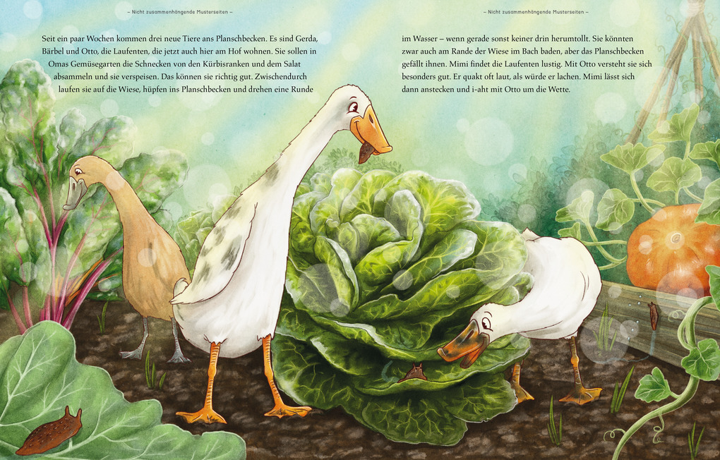 Weitere Ansicht: Eselsommer | Lilo Neumayer