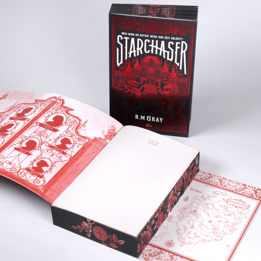 Weitere Ansicht: Starchaser | R. M. Gray