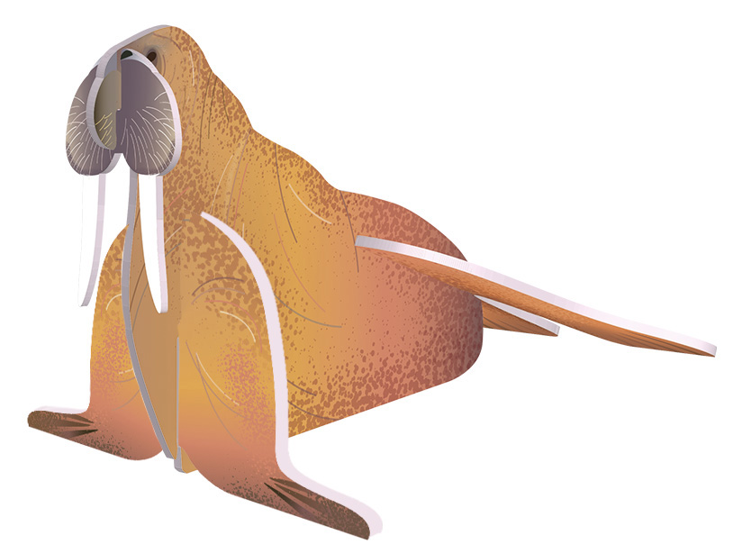 Weitere Ansicht: Zusammenstecken und Entdecken: Meerestiere | Abigail Wheatley