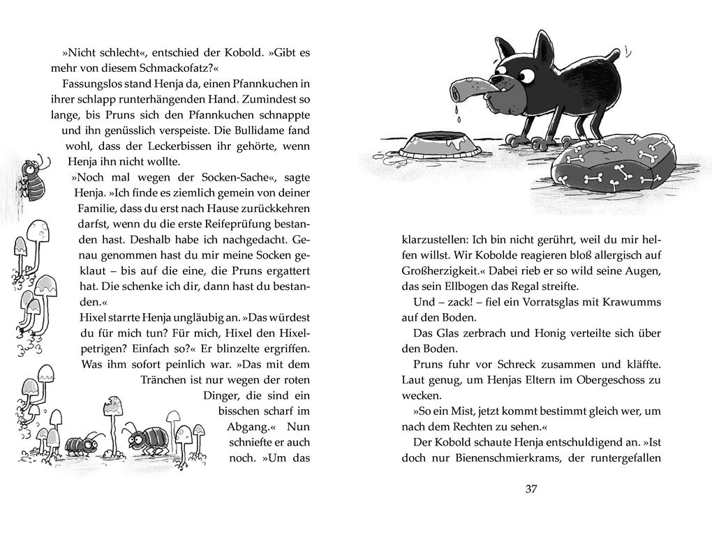 Weitere Ansicht: Hixel - Ein Koboldsommer ohne Socken | Aniela Ley