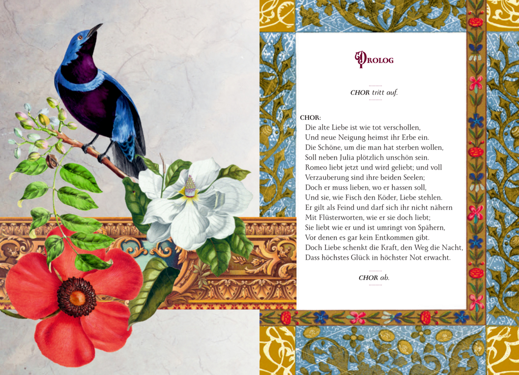 Weitere Ansicht: Romeo und Julia | William Shakespeare