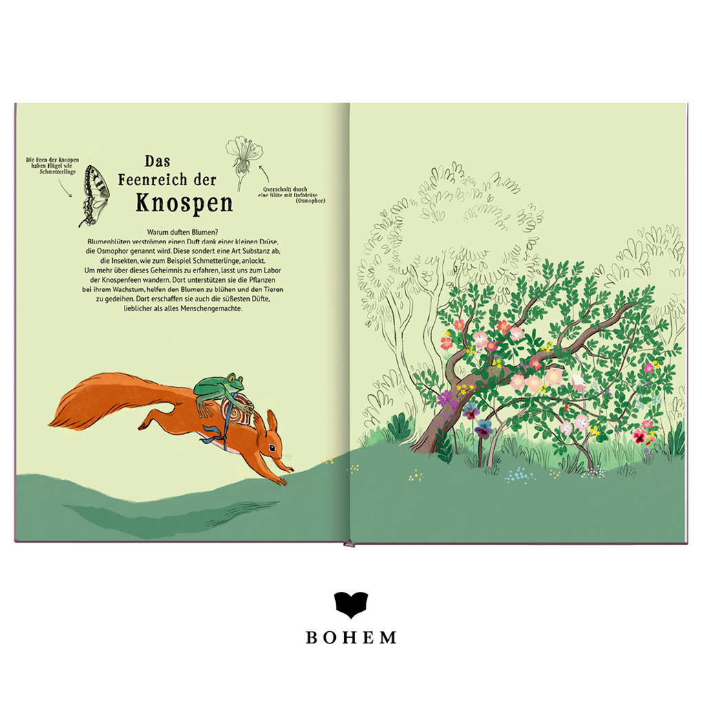 Weitere Ansicht: Das schönste Feenreich | Camille Garoche