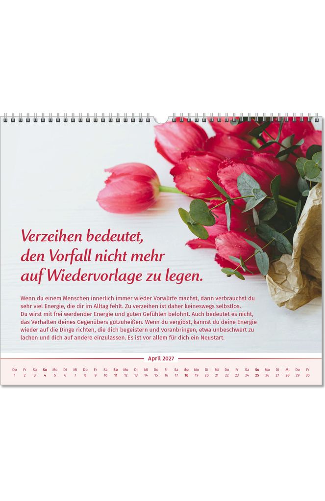 Weitere Ansicht: Der Lebensfreude-Inspirationen-Kalender 2027 | Doris Wolf, Rolf Merkle, Maja Günther