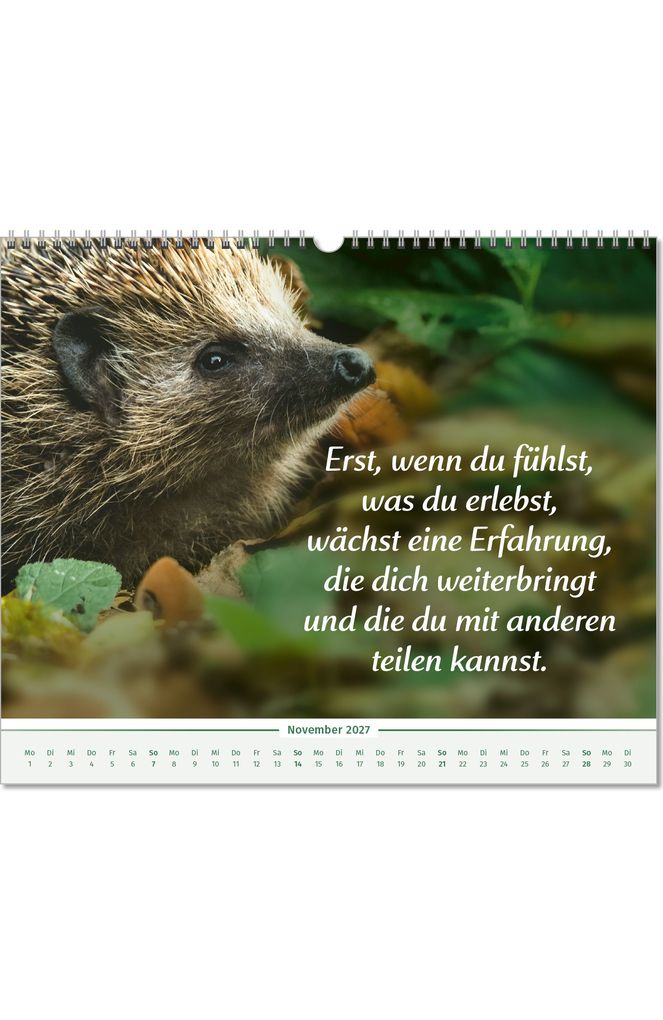 Weitere Ansicht: Der Lebensfreude-Inspirationen-Kalender 2027 | Doris Wolf, Rolf Merkle, Maja Günther